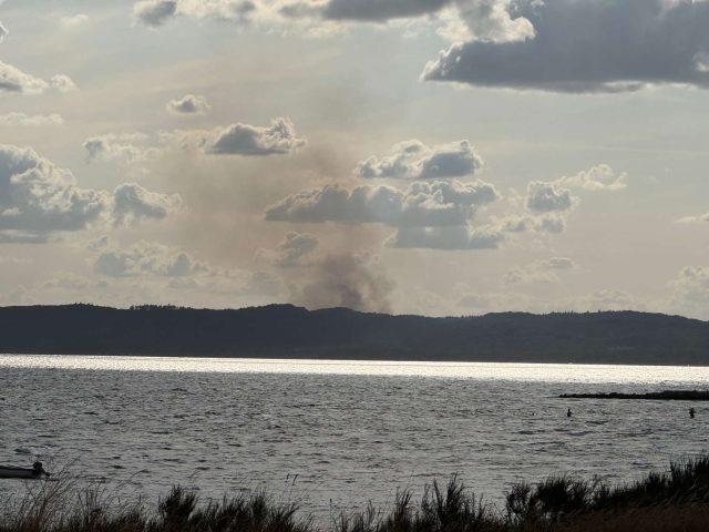 LIGE NU: Stor brand i dansk naturpark