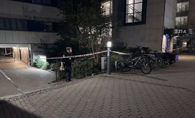 Her er en uhyggelig forbrydelse sket: Finder slagtet menneske