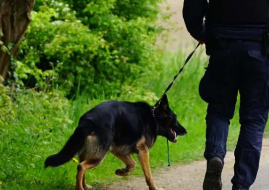 16-årig pige voldtager sin lillebror