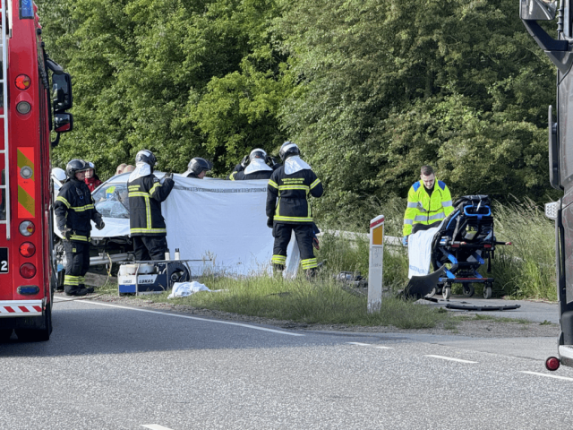 Frygteligt: Mister livet i forfærdeligt uheld