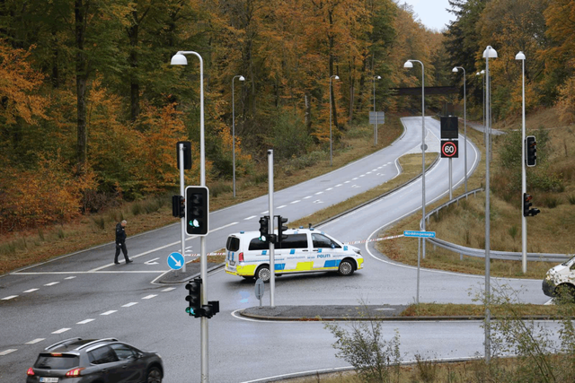 Flugtbilist dræber familiefar i skovkryds