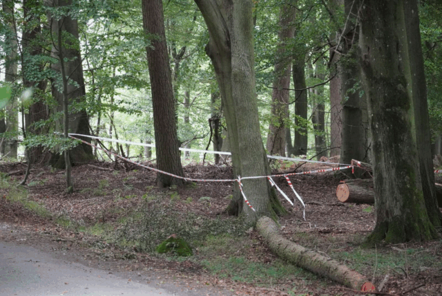 Sokker brugt under brutal voldtægt: Kvinde kunne ikke skrige