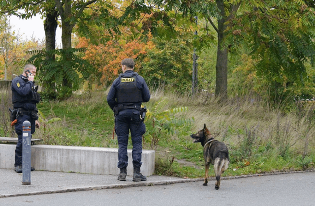 14-årig pige voldtaget på bænk i københavnsk park