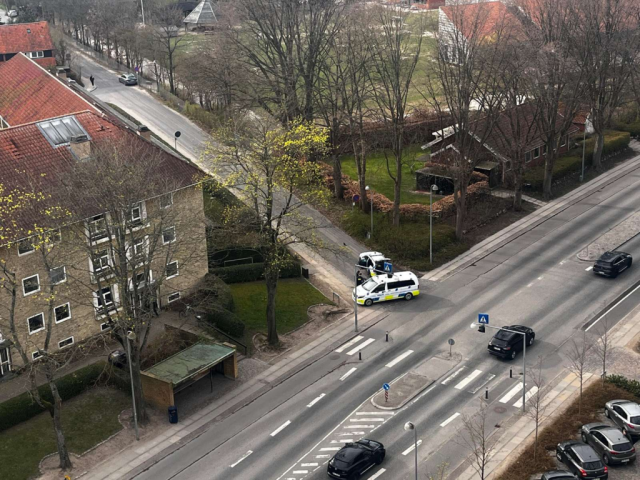 Kvinde bragede ind i træ under vanvidskørsel: Så gik hun amok på politiet