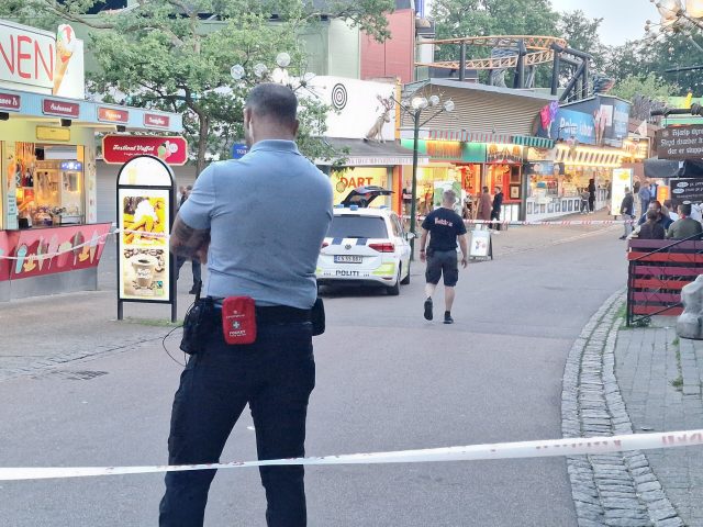 I tre meters højde holdte storebror fast i hendes ben, men det var ikke nok: Otteårig pige involveret i skrækulykke
