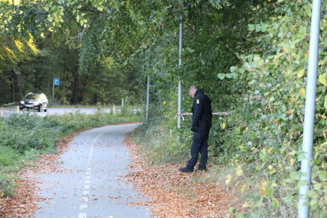 Grædende kvinde forsøgte at vride sig fri under brutal voldtægt