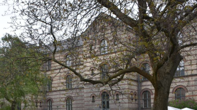 Gigantisk angreb: 525.000 danskere påvirket