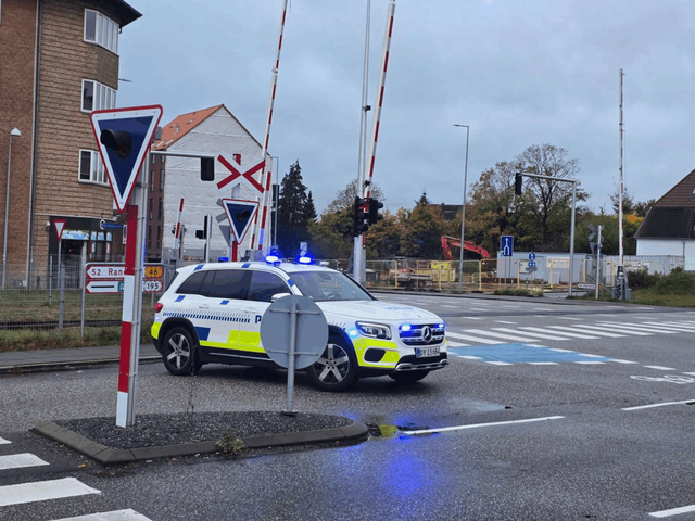 Familiefar kørt ihjel af udlænding